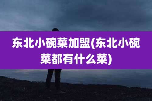 东北小碗菜加盟(东北小碗菜都有什么菜)