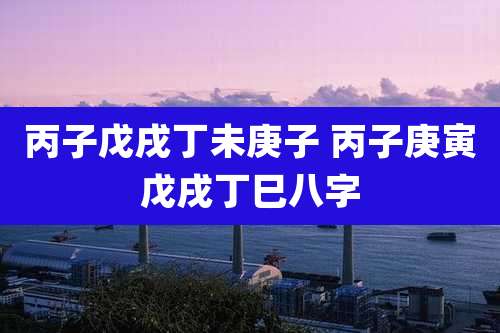 丙子戊戌丁未庚子 丙子庚寅戊戌丁巳八字