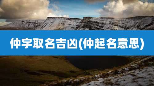 仲字取名吉凶(仲起名意思)