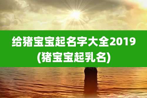 给猪宝宝起名字大全2019(猪宝宝起乳名)