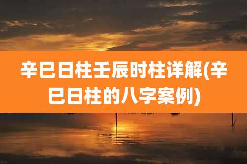 辛巳日柱壬辰时柱详解(辛巳日柱的八字案例)