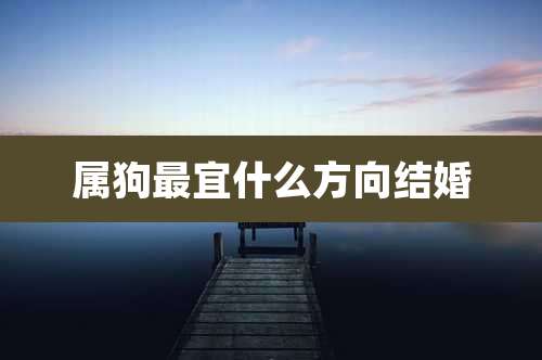 属狗最宜什么方向结婚