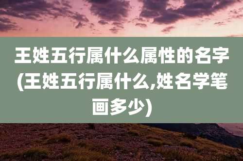 王姓五行属什么属性的名字(王姓五行属什么,姓名学笔画多少)