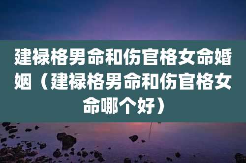 建禄格男命和伤官格女命婚姻(建禄格男命和伤官格女命哪个好)