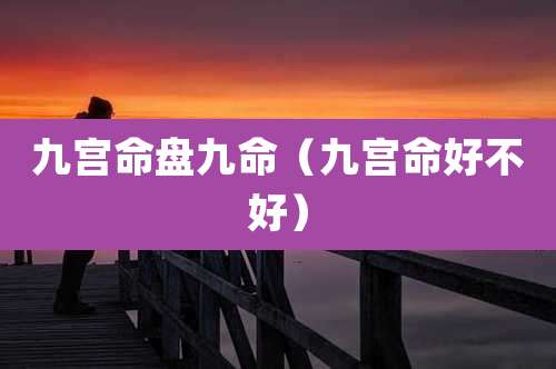 九宫命盘九命（九宫命好不好）