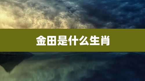 金田是什么生肖