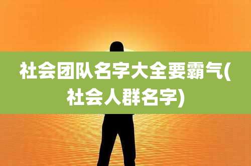 社会团队名字大全要霸气(社会人群名字)