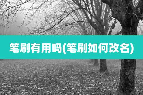 笔刷有用吗(笔刷如何改名)