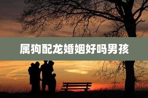 属狗配龙婚姻好吗男孩