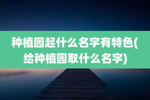 种植园起什么名字有特色(给种植园取什么名字)