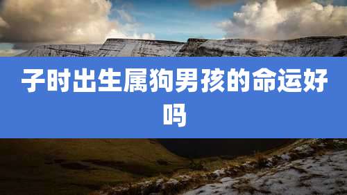 子时出生属狗男孩的命运好吗