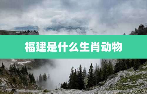 福建是什么生肖动物