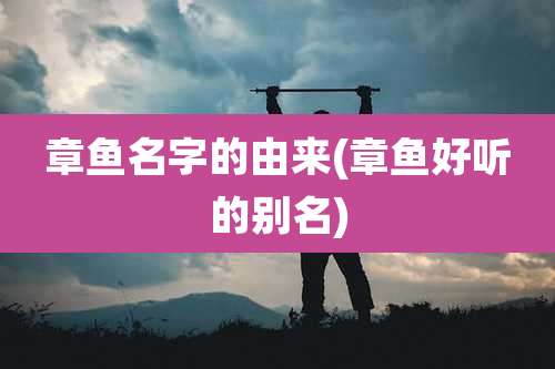 章鱼名字的由来(章鱼好听的别名)