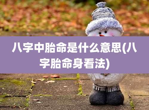 八字中胎命是什么意思(八字胎命身看法)