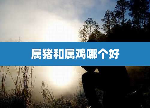 属猪和属鸡哪个好