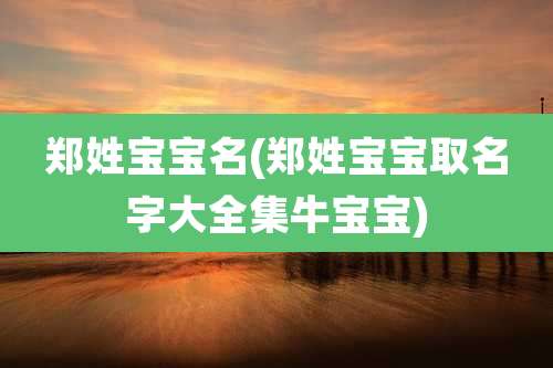 郑姓宝宝名(郑姓宝宝取名字大全集牛宝宝)