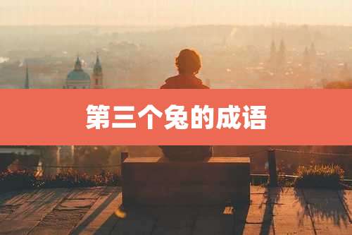 第三个兔的成语