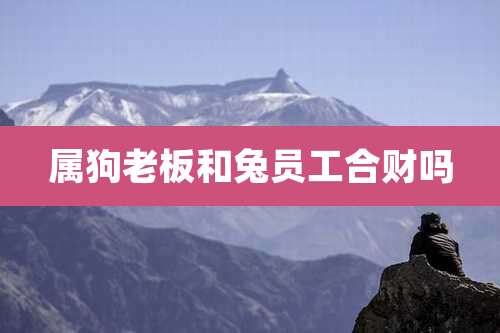 属狗老板和兔员工合财吗