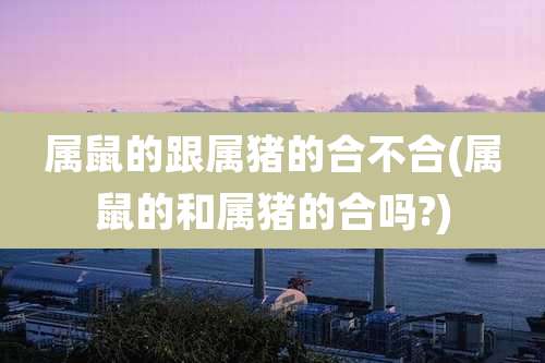 属鼠的跟属猪的合不合(属鼠的和属猪的合吗?)