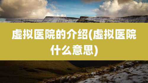 虚拟医院的介绍(虚拟医院什么意思)