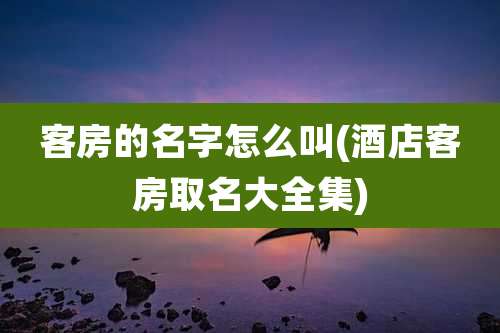 客房的名字怎么叫(酒店客房取名大全集)