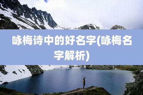 咏梅诗中的好名字(咏梅名字解析)