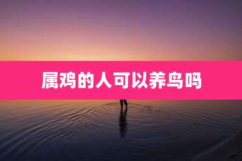 属鸡的人可以养鸟吗