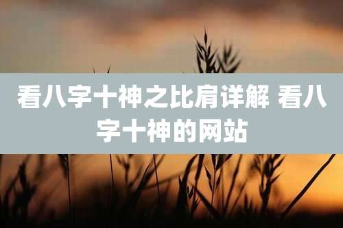 看八字十神之比肩详解 看八字十神的网站