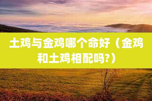 土鸡与金鸡哪个命好(金鸡和土鸡相配吗?)