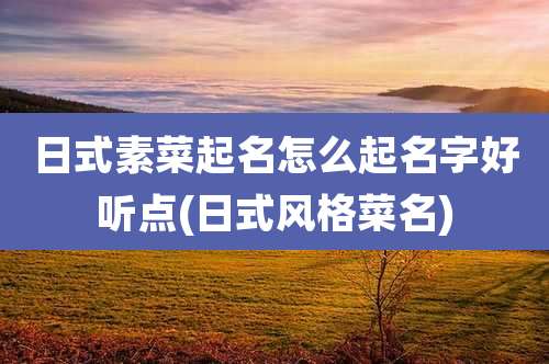日式素菜起名怎么起名字好听点(日式风格菜名)