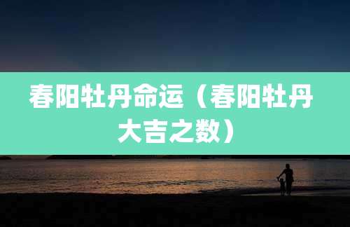春阳牡丹命运(春阳牡丹 大吉之数)