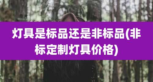 灯具是标品还是非标品(非标定制灯具价格)