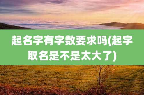 起名字有字数要求吗(起字取名是不是太大了)