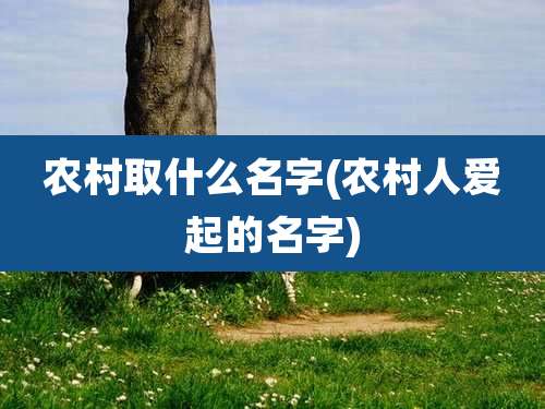 农村取什么名字(农村人爱起的名字)