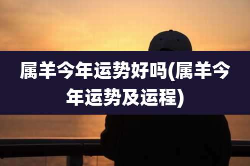 属羊今年运势好吗(属羊今年运势及运程)