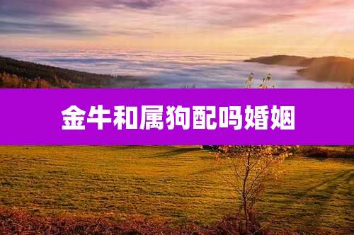 金牛和属狗配吗婚姻