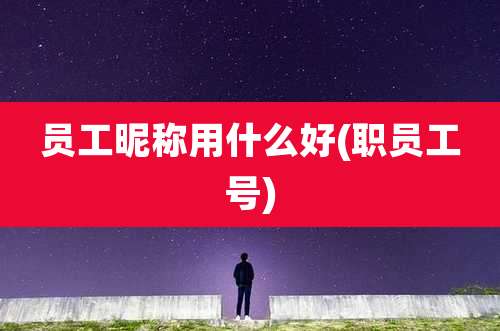 员工昵称用什么好(职员工号)