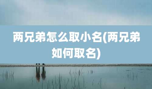 两兄弟怎么取小名(两兄弟如何取名)