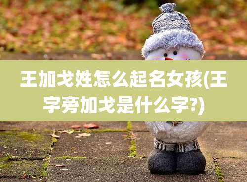 王加戈姓怎么起名女孩(王字旁加戈是什么字?)