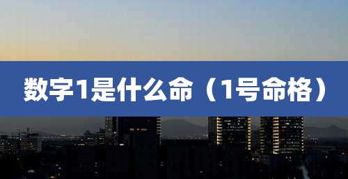 数字1是什么命(1号命格)