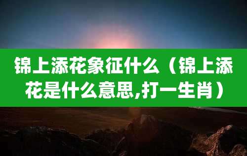 锦上添花象征什么（锦上添花是什么意思,打一生肖）