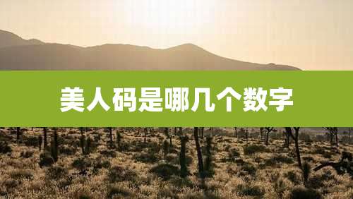 美人码是哪几个数字