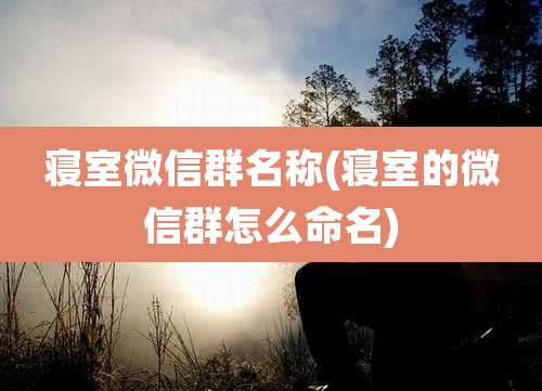 寝室微信群名称(寝室的微信群怎么命名)