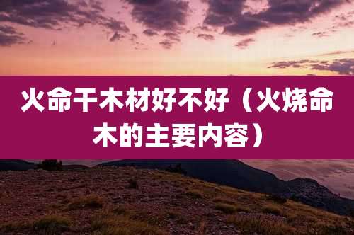 火命干木材好不好(火烧命木的主要内容)