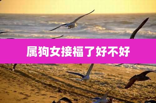 属狗女接福了好不好