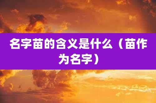 名字苗的含义是什么(苗作为名字)