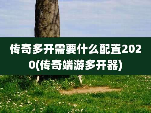 传奇多开需要什么配置2020(传奇端游多开器)