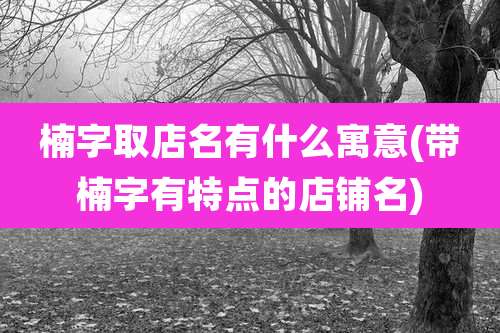 楠字取店名有什么寓意(带楠字有特点的店铺名)