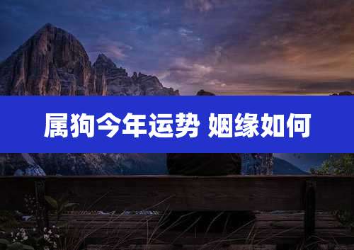 属狗今年运势 姻缘如何