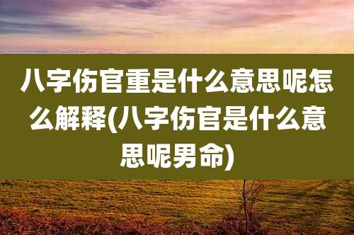 八字伤官重是什么意思呢怎么解释(八字伤官是什么意思呢男命)